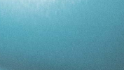 Blue Gloss