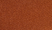 Bronze Sheen