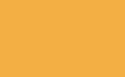 Golden Ribbed
