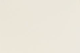 Ivory Matte